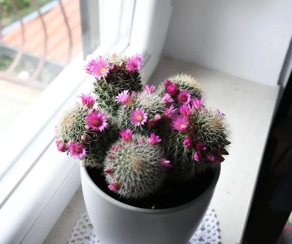 Apartment Klara&ivan Split