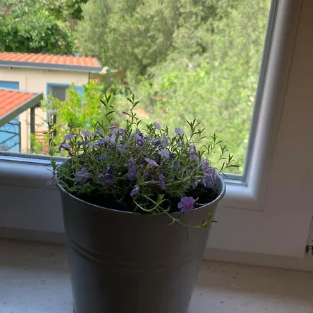 Διαμέρισμα Klara&ivan Σπλιτ