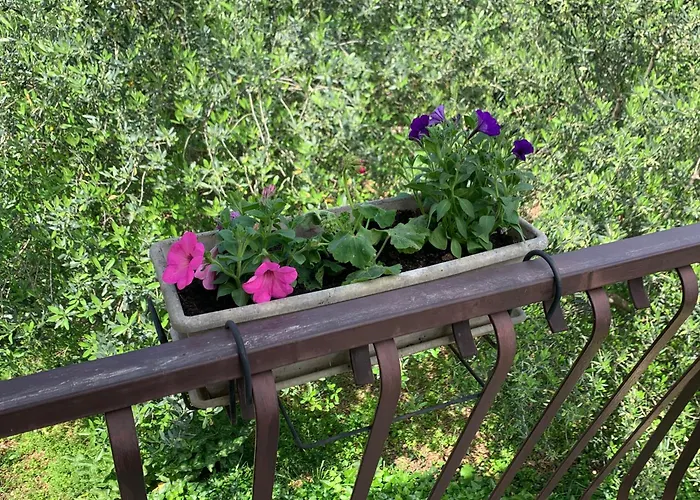 Klara&ivan * Спліт