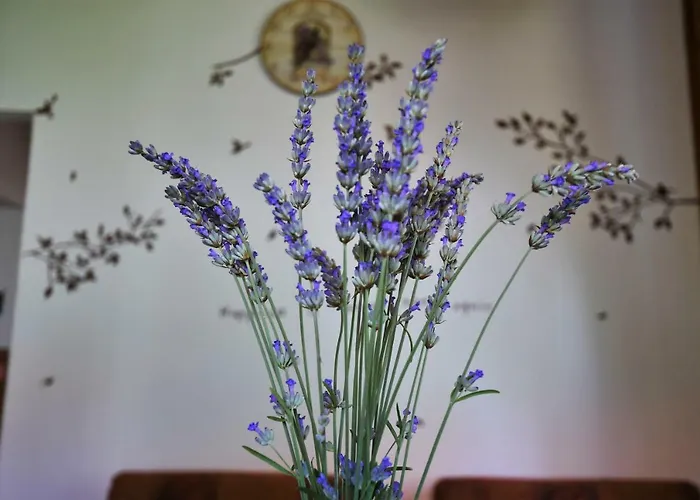 Klara&ivan Апартаменти