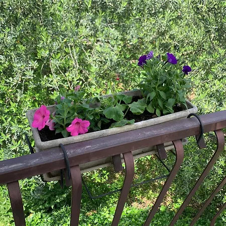 Klara&ivan * 斯普利特