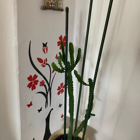 Klara&ivan Apartment