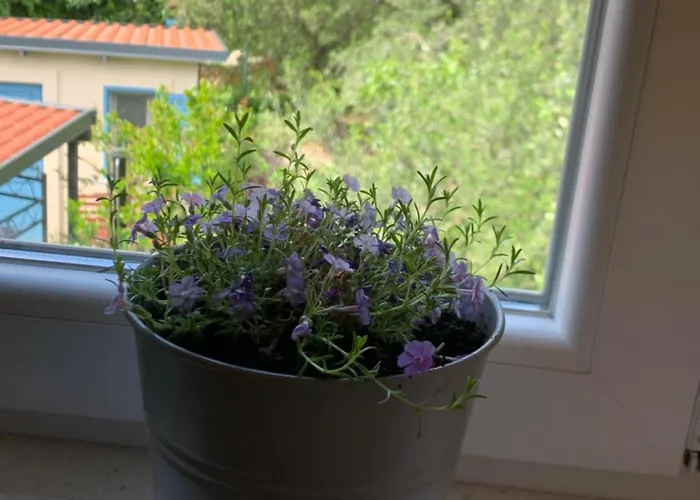 Daire Klara&ivan Split